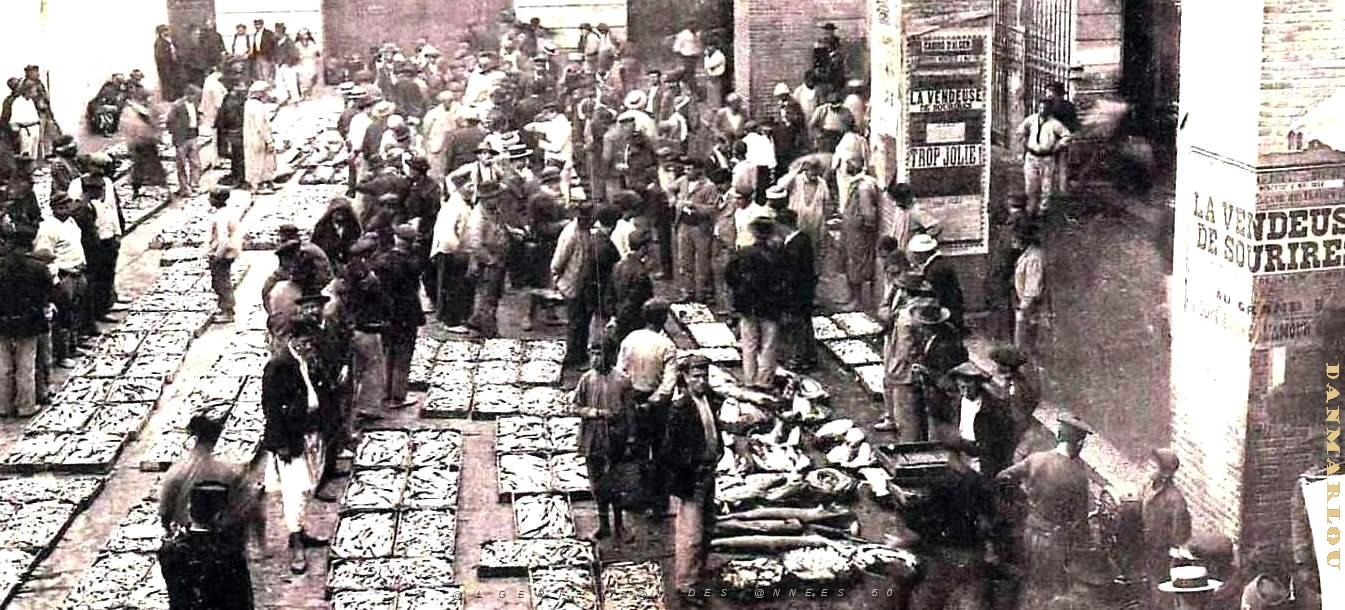 3034- Alger - Vente de Poisson aux encheres2 - 1908.jpg